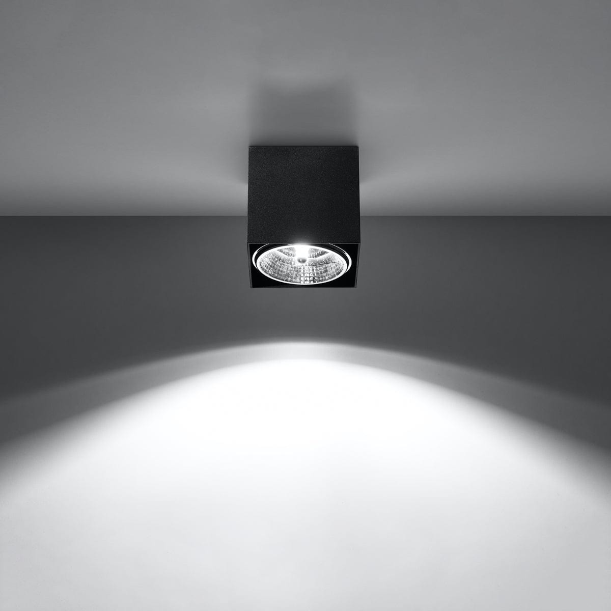 Sollux Lighting Ceiling Lamp Blake Black - Modern BLAKE Spot Ceiling Light - Minimalist Design - Easy Surface Mounting - Compatible with GU10 Bulbs