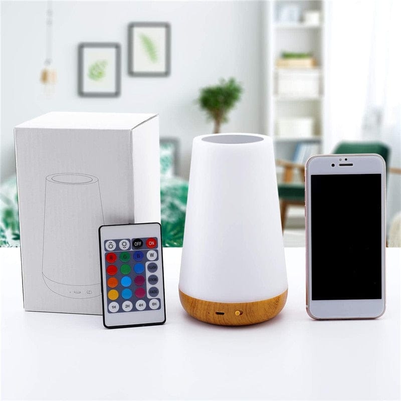 Verthara Color Changing Touch Rechargeable Night Light