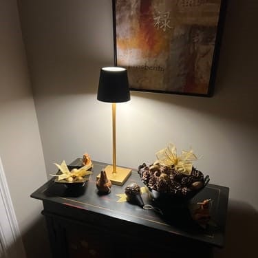 Verthara Dimmable Deluxe Rechargeable Table Lamp Gold & Black