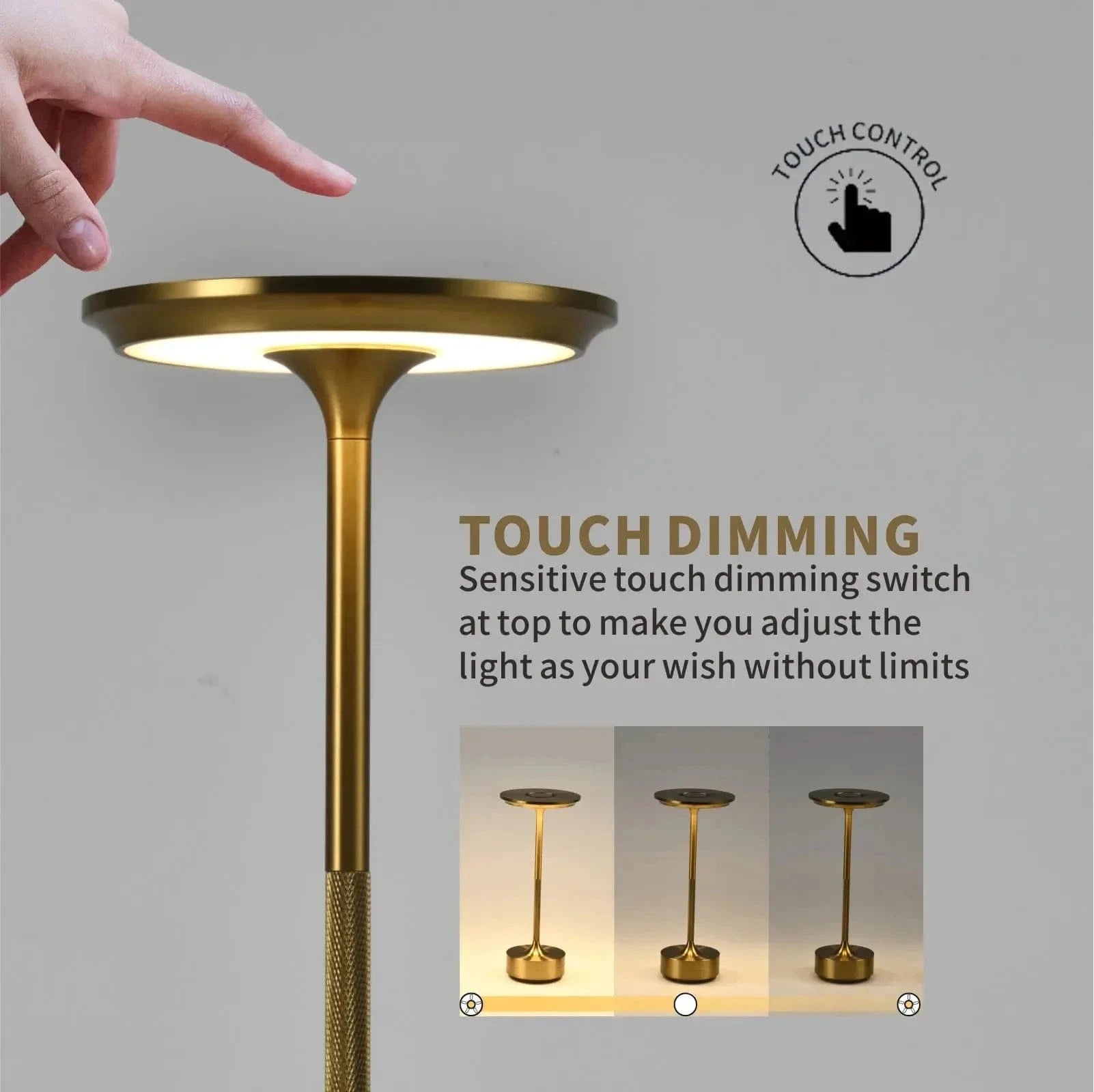 Verthara Dimmable Touch Control Rechargeable Table Lamp