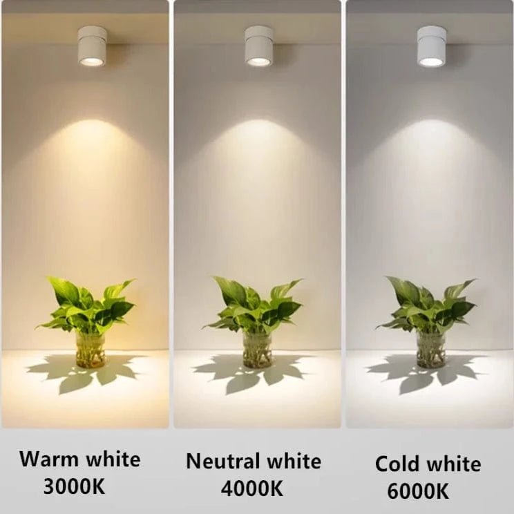 Verthara LED Ceiling Spotlights Macaron