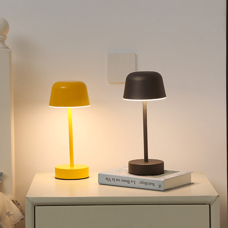 Verthara Modern Dimmable Rechargeable Table Lamp