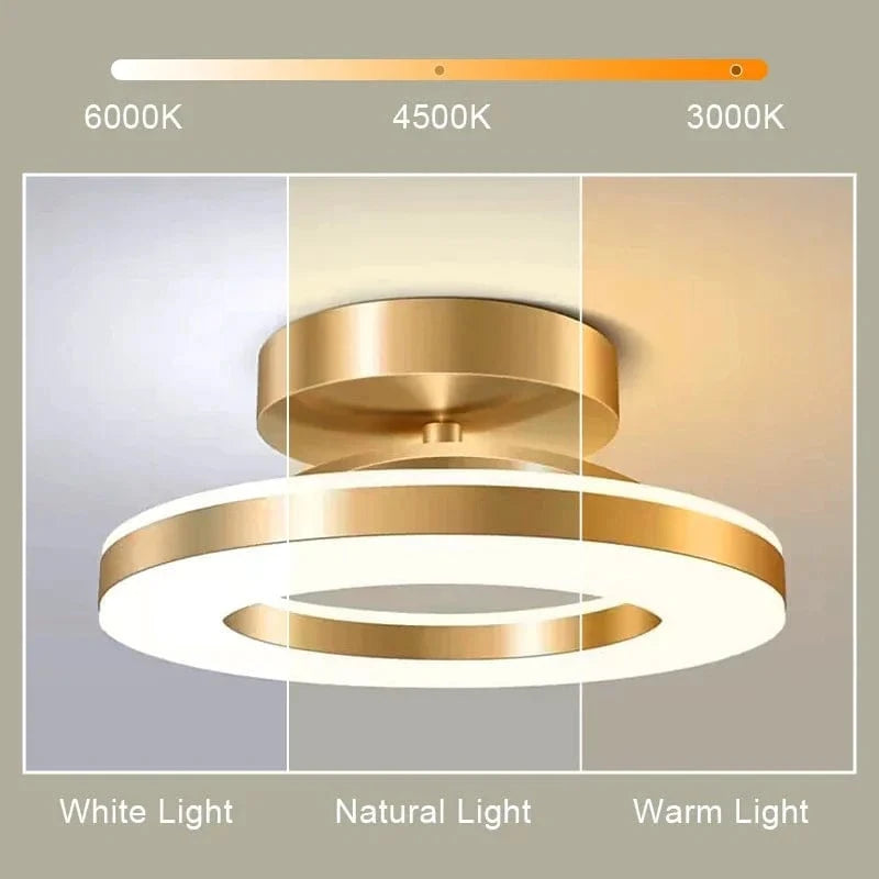 Verthara Modern Flush Mount LED Ceiling Light Fixture – Adjustable Colour Temperature - Iron and Acrylic - Available in Gold and Black