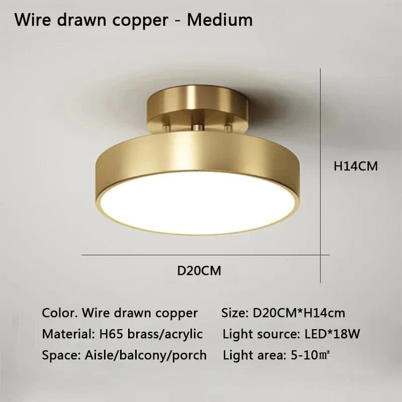 Verthara Modern LED Flush Mount Ceiling Light - Dimmable - Adjustable Colour Temperature - Copper Finish - Suitable for Bedroom, Living Room, and Corridor Gold 20CM / Warm white