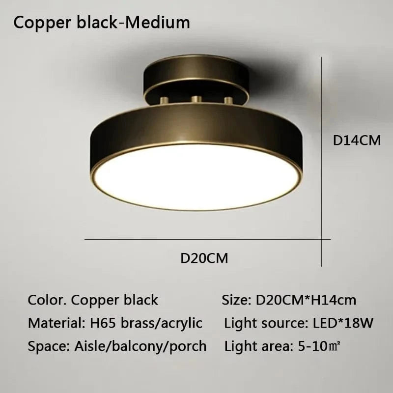 Verthara Modern LED Flush Mount Ceiling Light - Dimmable - Adjustable Colour Temperature - Copper Finish - Suitable for Bedroom, Living Room, and Corridor Black 20CM / Warm white