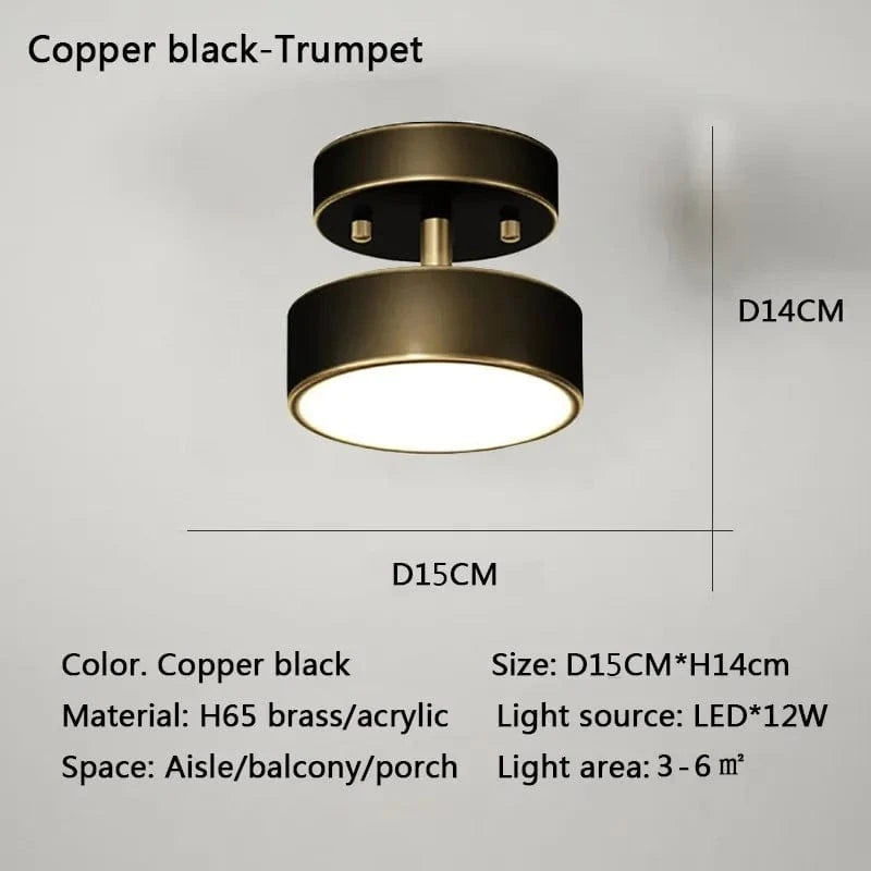 Verthara Modern LED Flush Mount Ceiling Light - Dimmable - Adjustable Colour Temperature - Copper Finish - Suitable for Bedroom, Living Room, and Corridor Black 15CM-a / Warm white