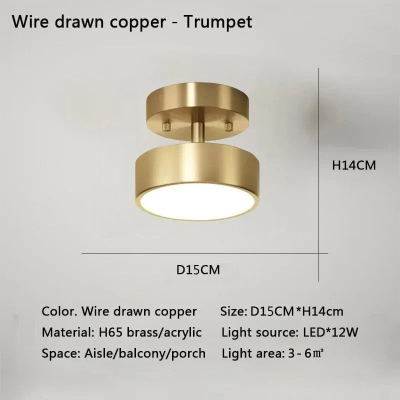 Verthara Modern LED Flush Mount Ceiling Light - Dimmable - Adjustable Colour Temperature - Copper Finish - Suitable for Bedroom, Living Room, and Corridor Gold 15CM / Warm white