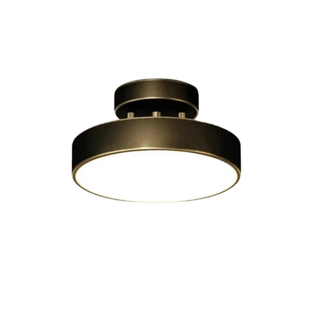 Verthara Modern LED Flush Mount Ceiling Light - Dimmable - Adjustable Colour Temperature - Copper Finish - Suitable for Bedroom, Living Room, and Corridor Black 20CM