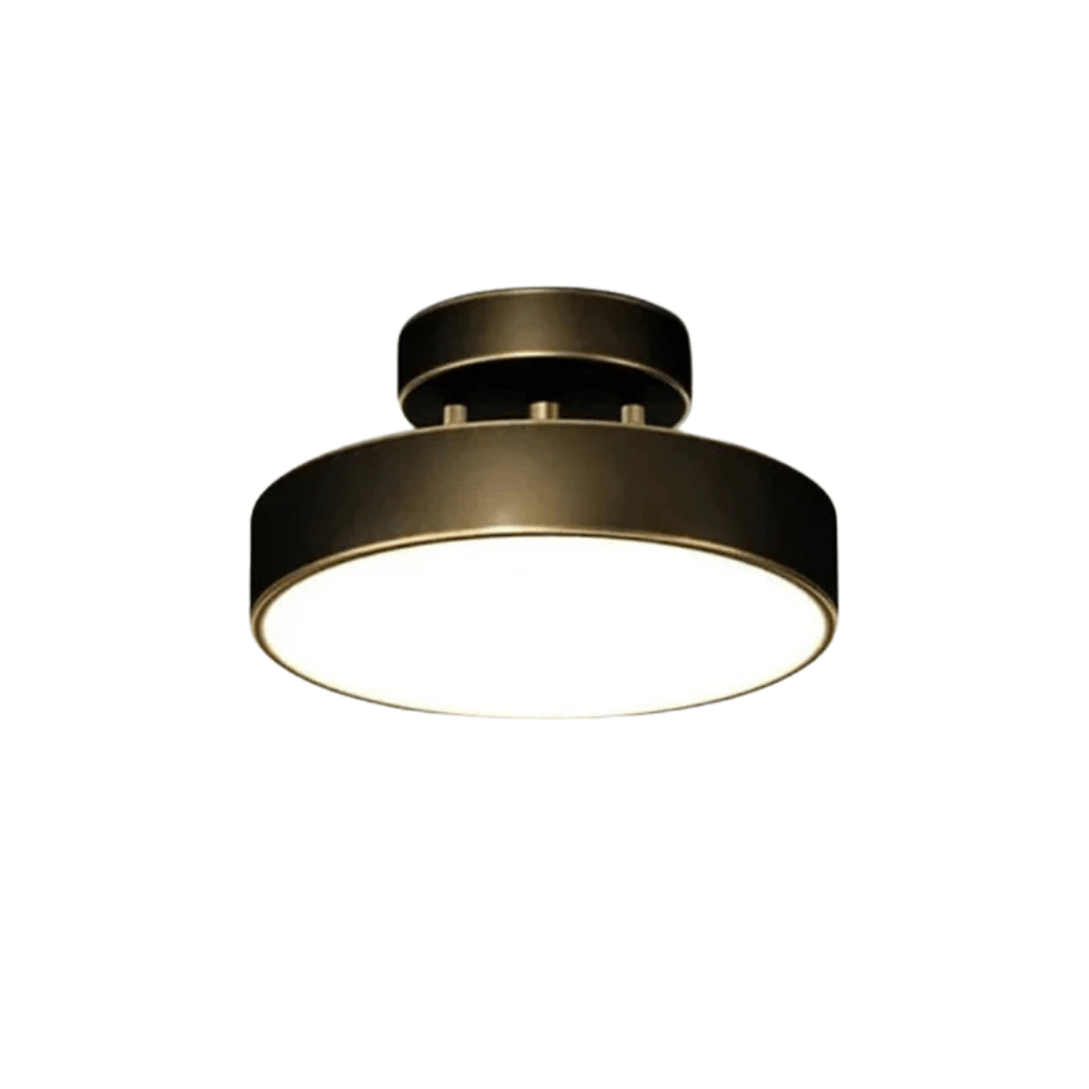 Verthara Modern LED Flush Mount Ceiling Light - Dimmable - Adjustable Colour Temperature - Copper Finish - Suitable for Bedroom, Living Room, and Corridor Black 30CM