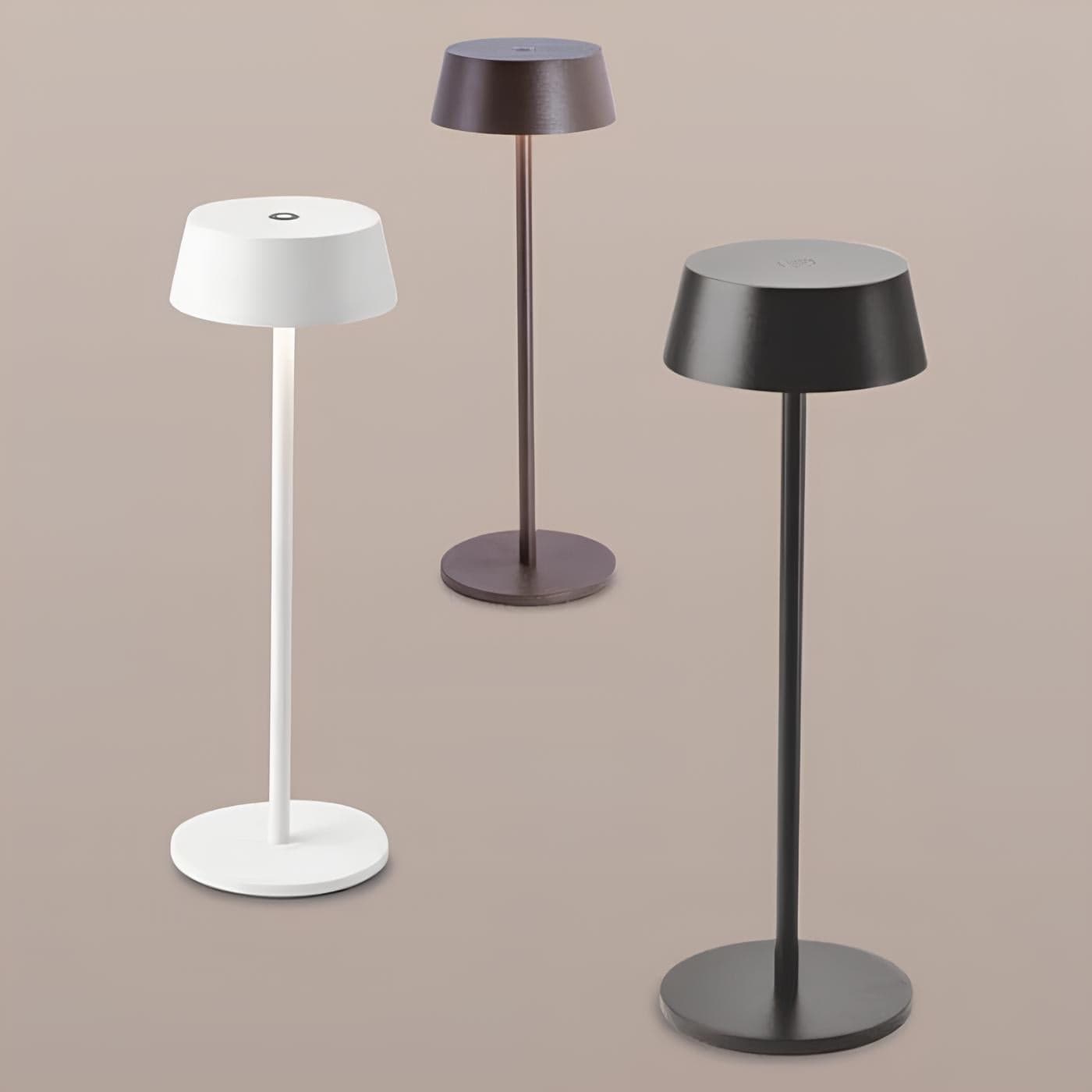 Verthara Modern Minimalist Rechargeable Table Lamp
