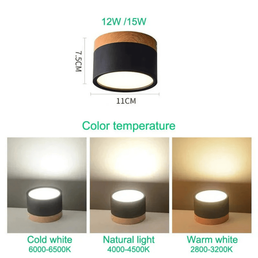 Verthara Modern Surface Mounted LED Downlight