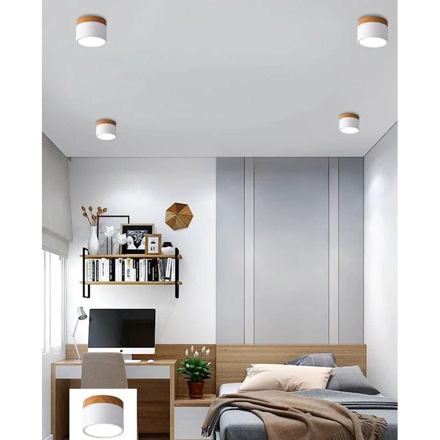 Verthara Modern Surface Mounted LED Downlight