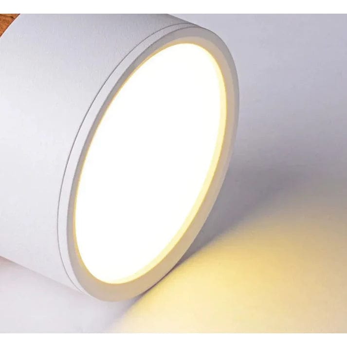 Verthara Modern Surface Mounted LED Downlight