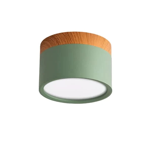 Verthara Modern Surface Mounted LED Downlight Green / Warm white 3000K / 18W