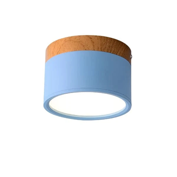 Verthara Modern Surface Mounted LED Downlight Blue / Cold white 6000K / 18W