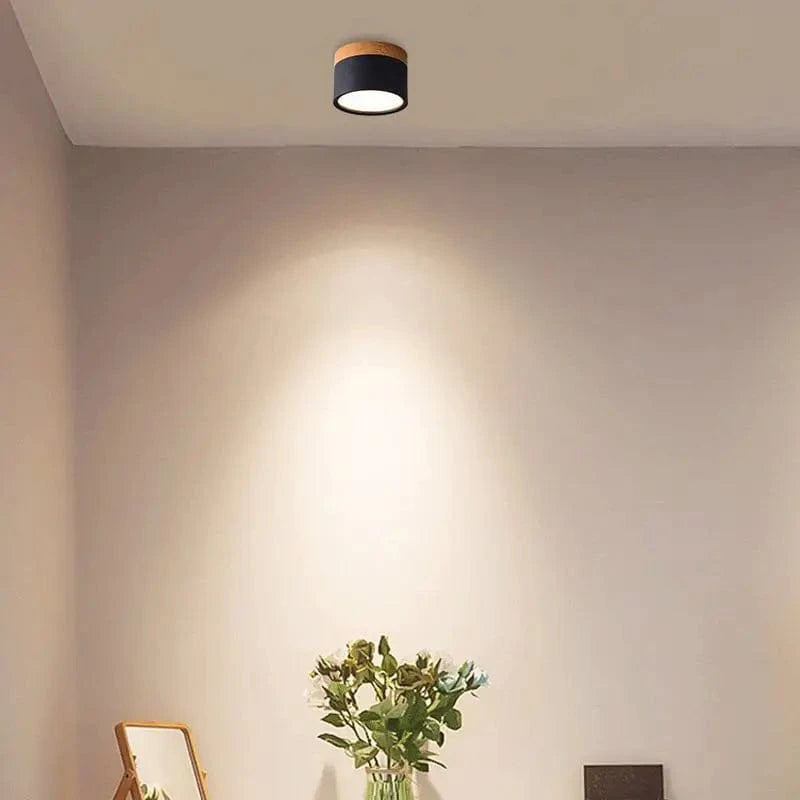 Verthara Modern Surface Mounted LED Downlight