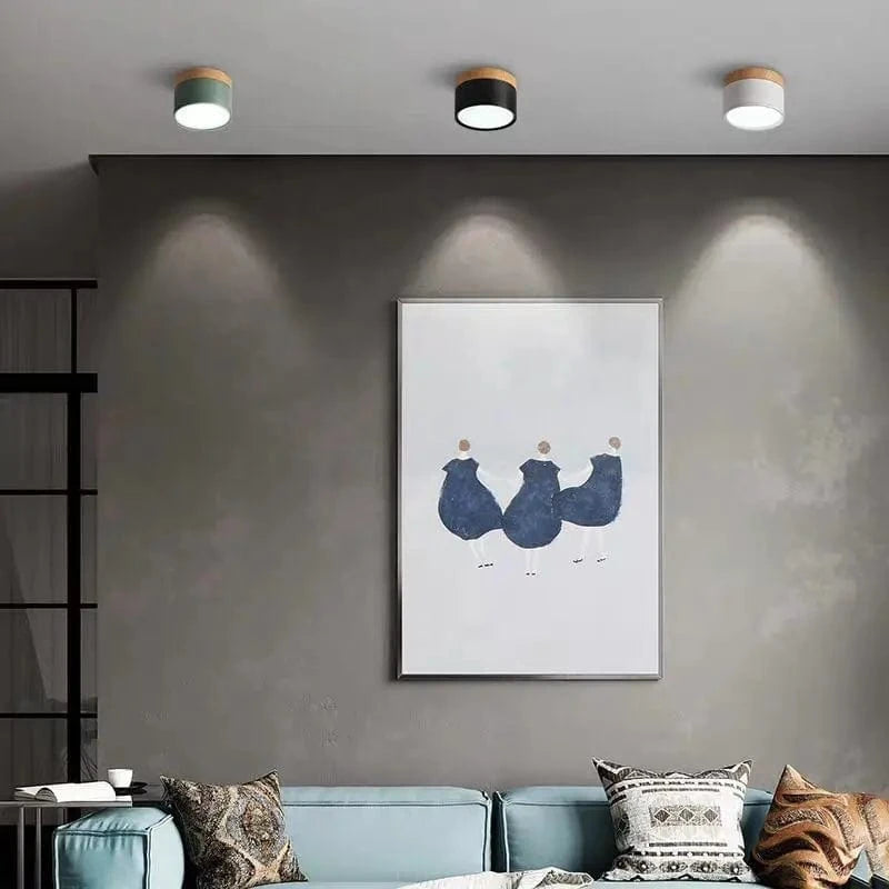 Verthara Modern Surface Mounted LED Downlight