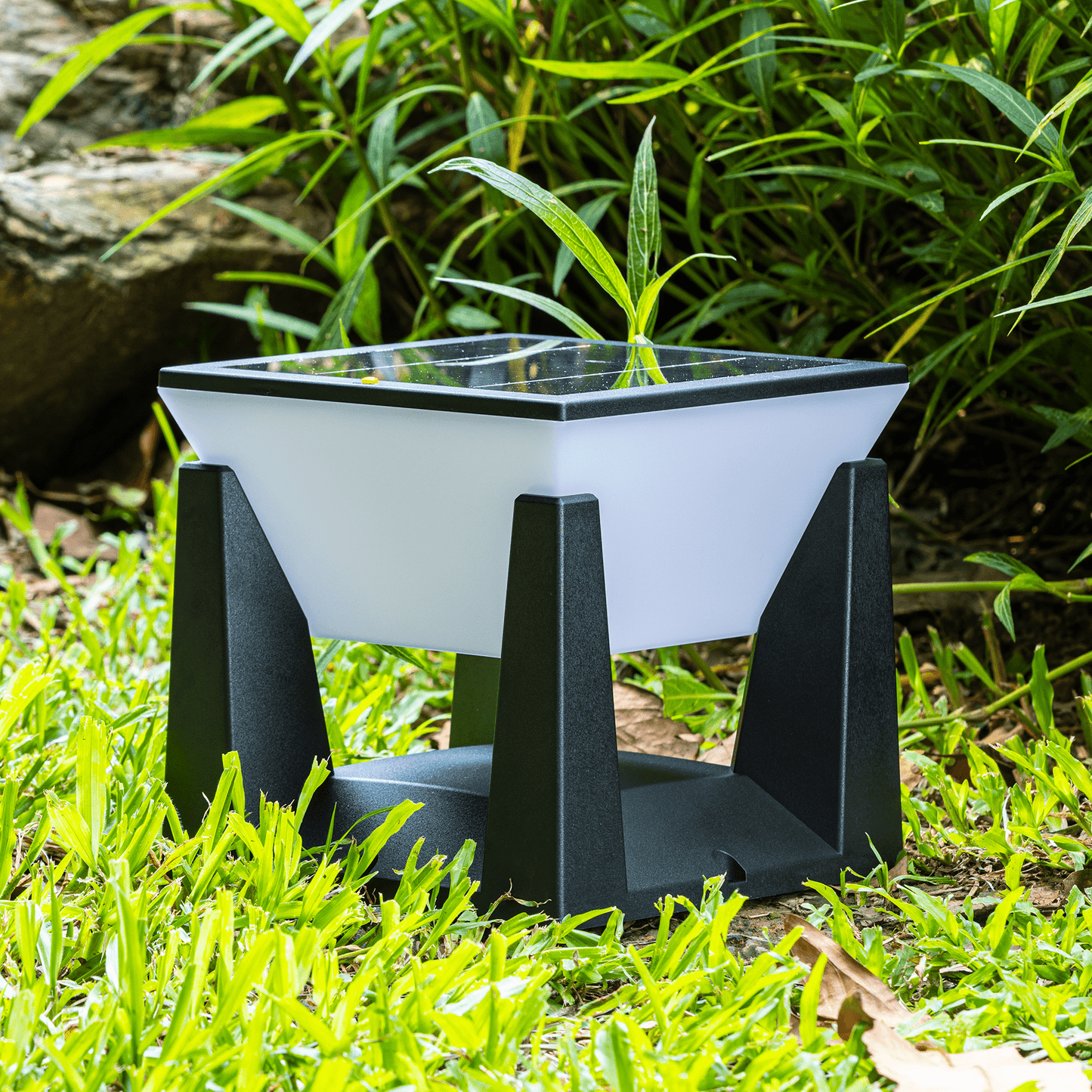 Verthara Outdoor Solar-Powered Modern Garden Lantern