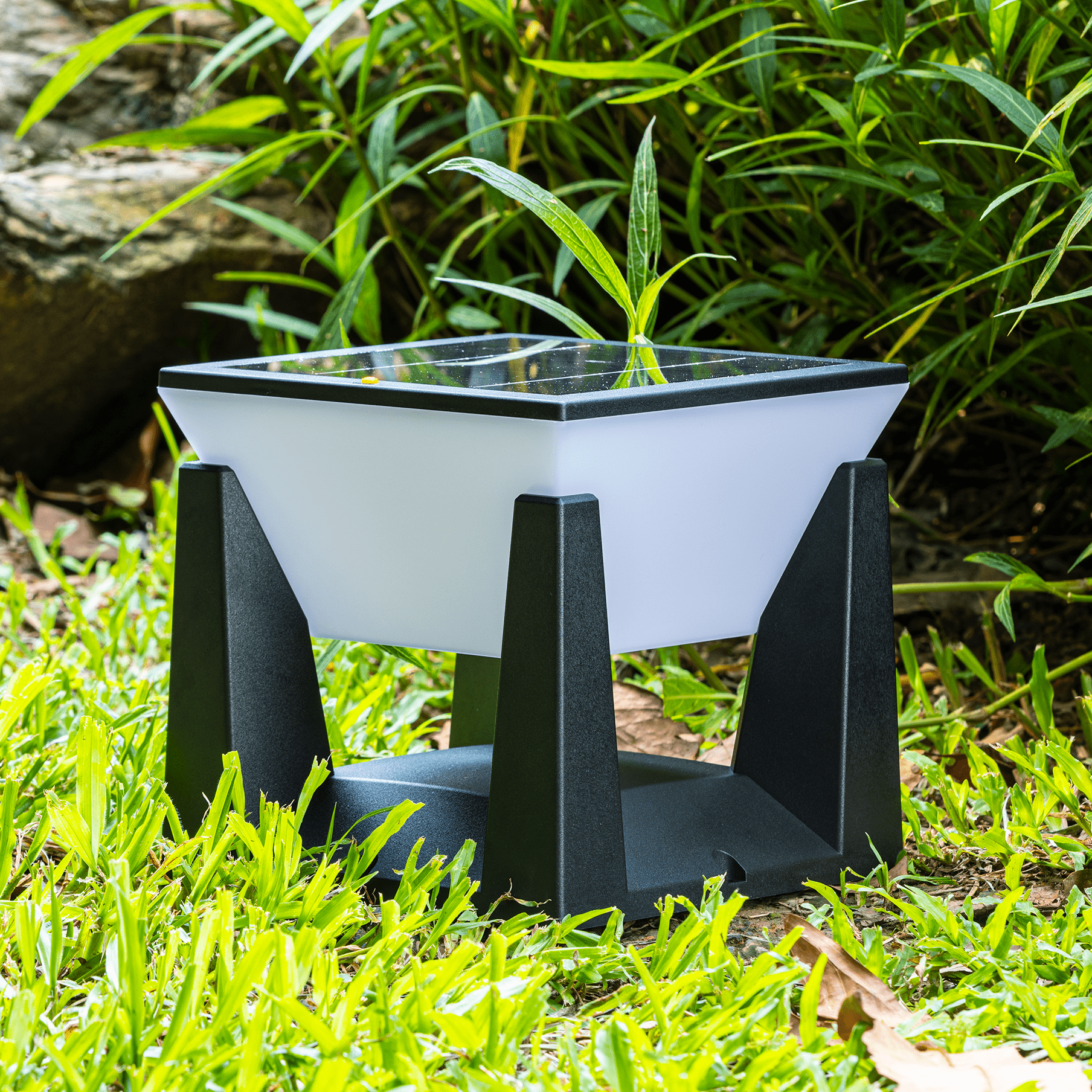 Verthara Outdoor Solar-Powered Modern Garden Lantern