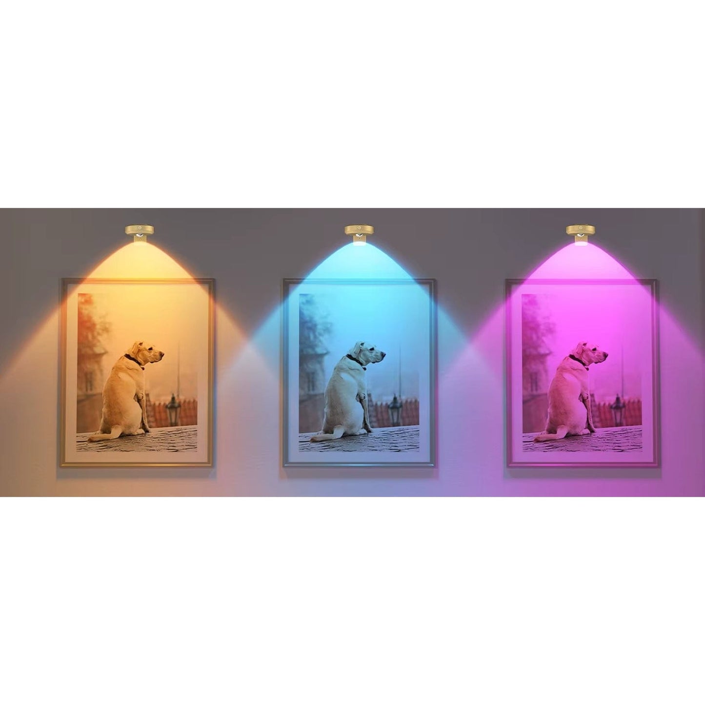 Verthara Rechargeable LED Puck Lights With Magnetic Mount – RGB Colour Temperature - Adjustable Brightness - Indoor Art Lighting - Remote Control