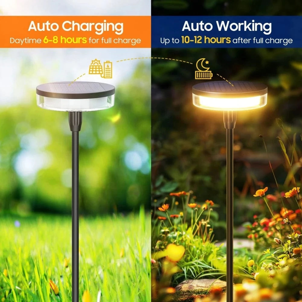 Verthara Solar Pathway Lights – IP65 Waterproof Outdoor Garden Lighting for Walkways and Patios, Durable Solar Footpath Lights Default