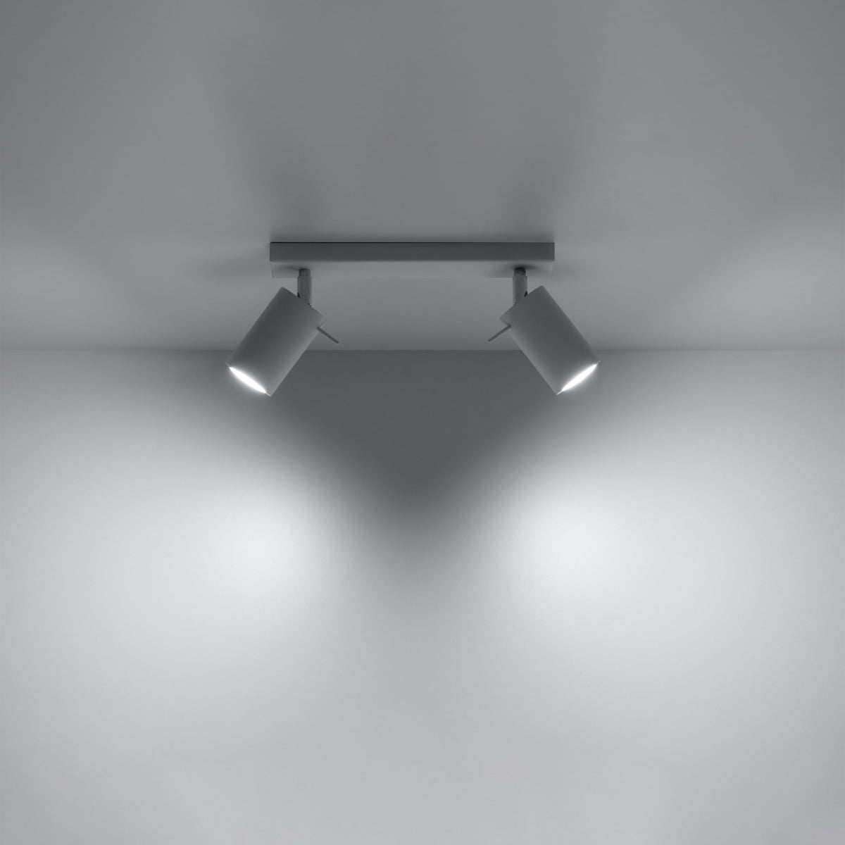 Ring 2-Light Adjustable Spotlight - Modern Steel Ceiling Lamp - White - 30x6x16 cm