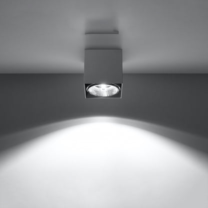 Ceiling Lamp Blake Grey - Modern BLAKE Spot Ceiling Light - Minimalist Design - Easy Surface Mounting - Compatible with GU10 Bulbs