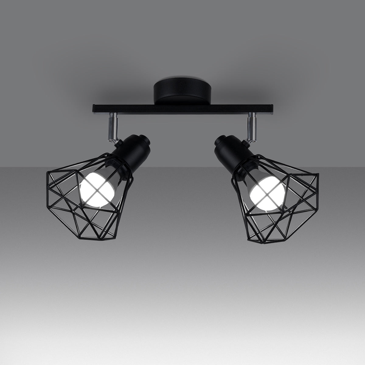 Ceiling Lamp Artemis 2 Black - Modern Loft Style - Adjustable Light Angle - Durable Steel - Replaceable Bulbs for Versatile Lighting