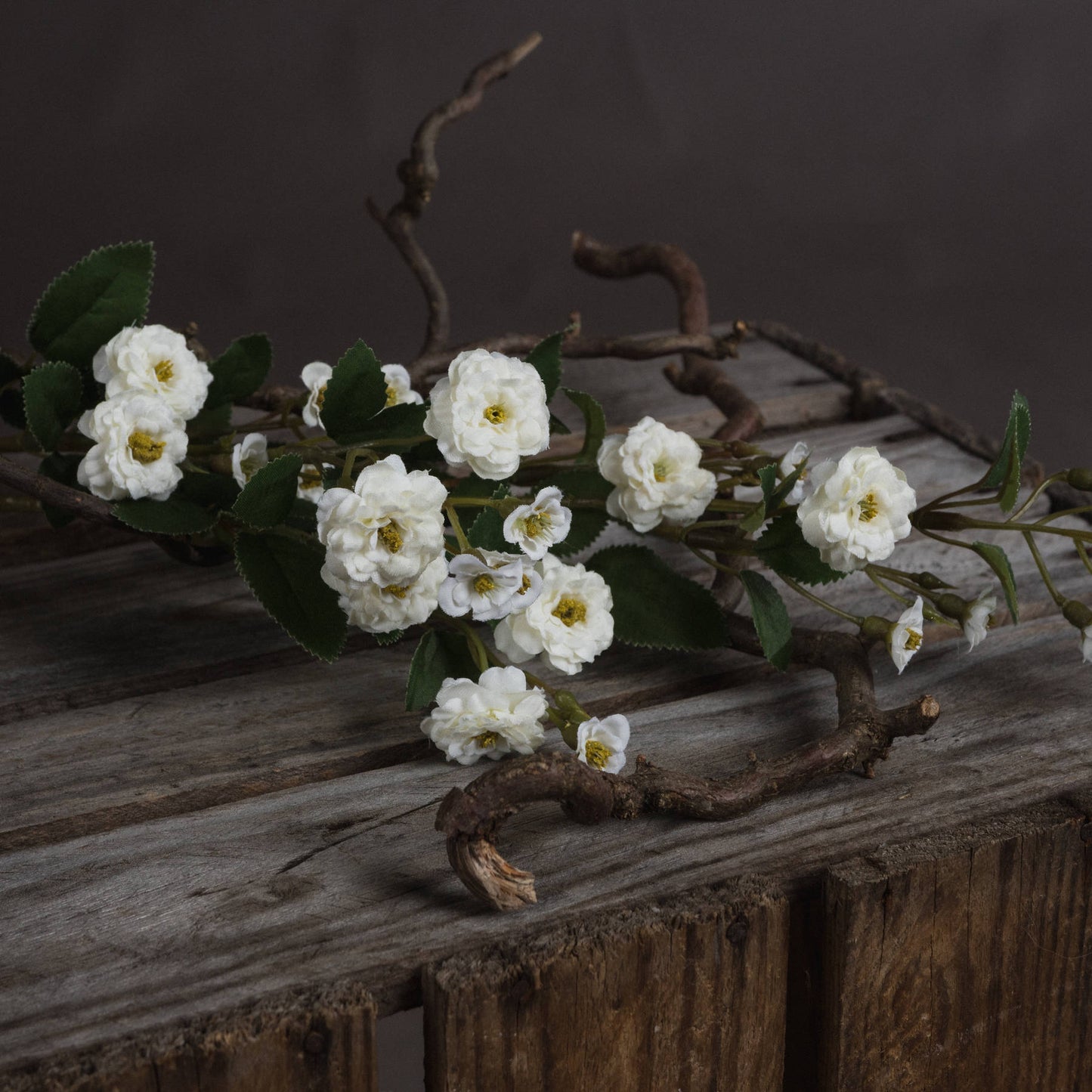 White Wild Meadow Rose White Plastic 19046