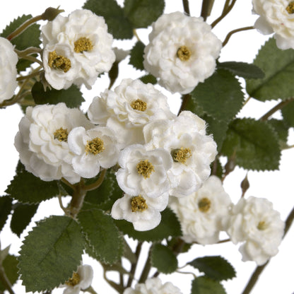 White Wild Meadow Rose White Plastic 19046