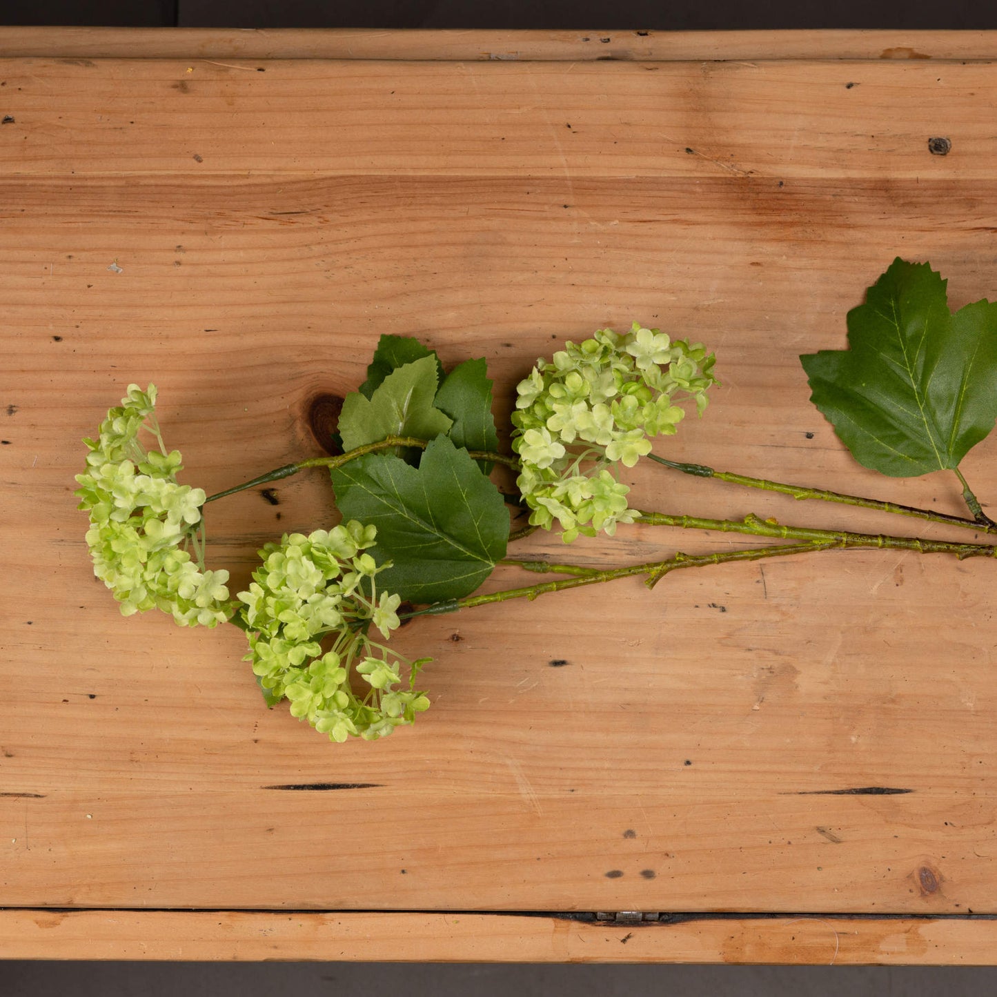 Green Viburnum Spray Green Plastic 19591