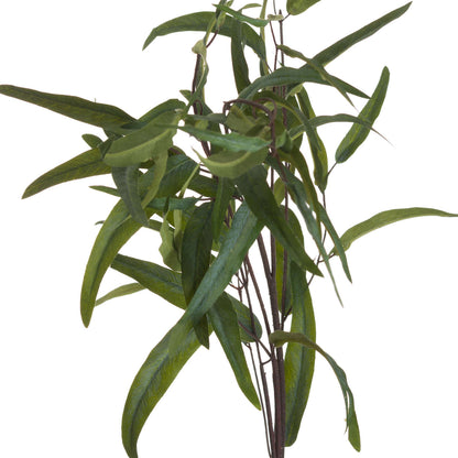 Eucalyptus Nicholii Spray Green Plastic 20107