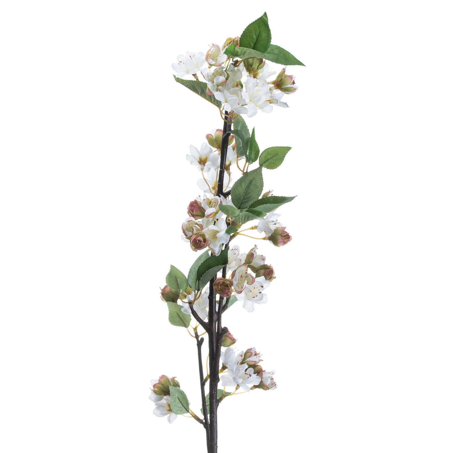 English Blossom Branch Brown Plastic 20207