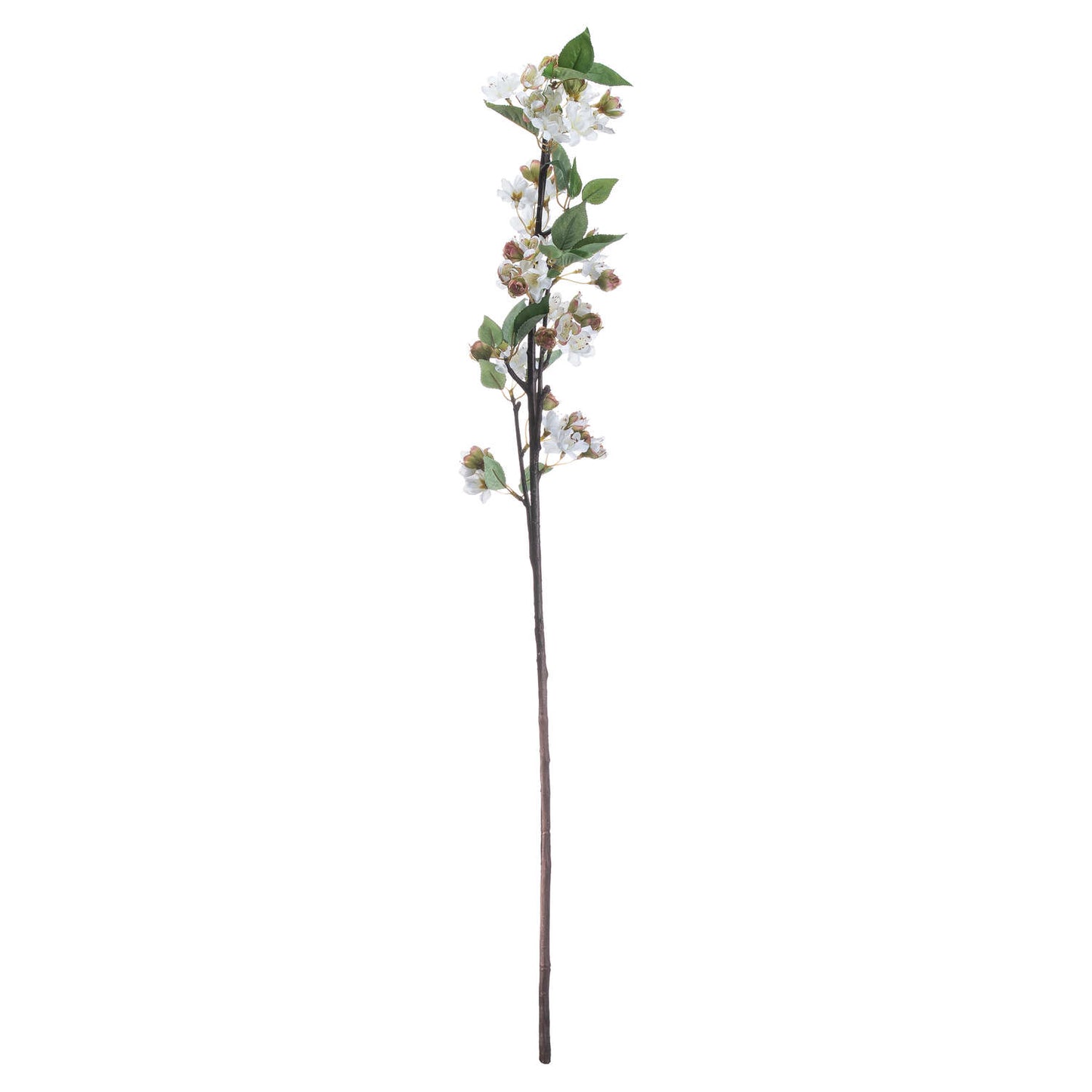 English Blossom Branch Brown Plastic 20207