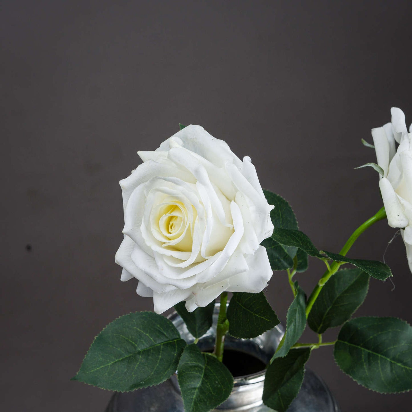 Large White Garden Rose 20483