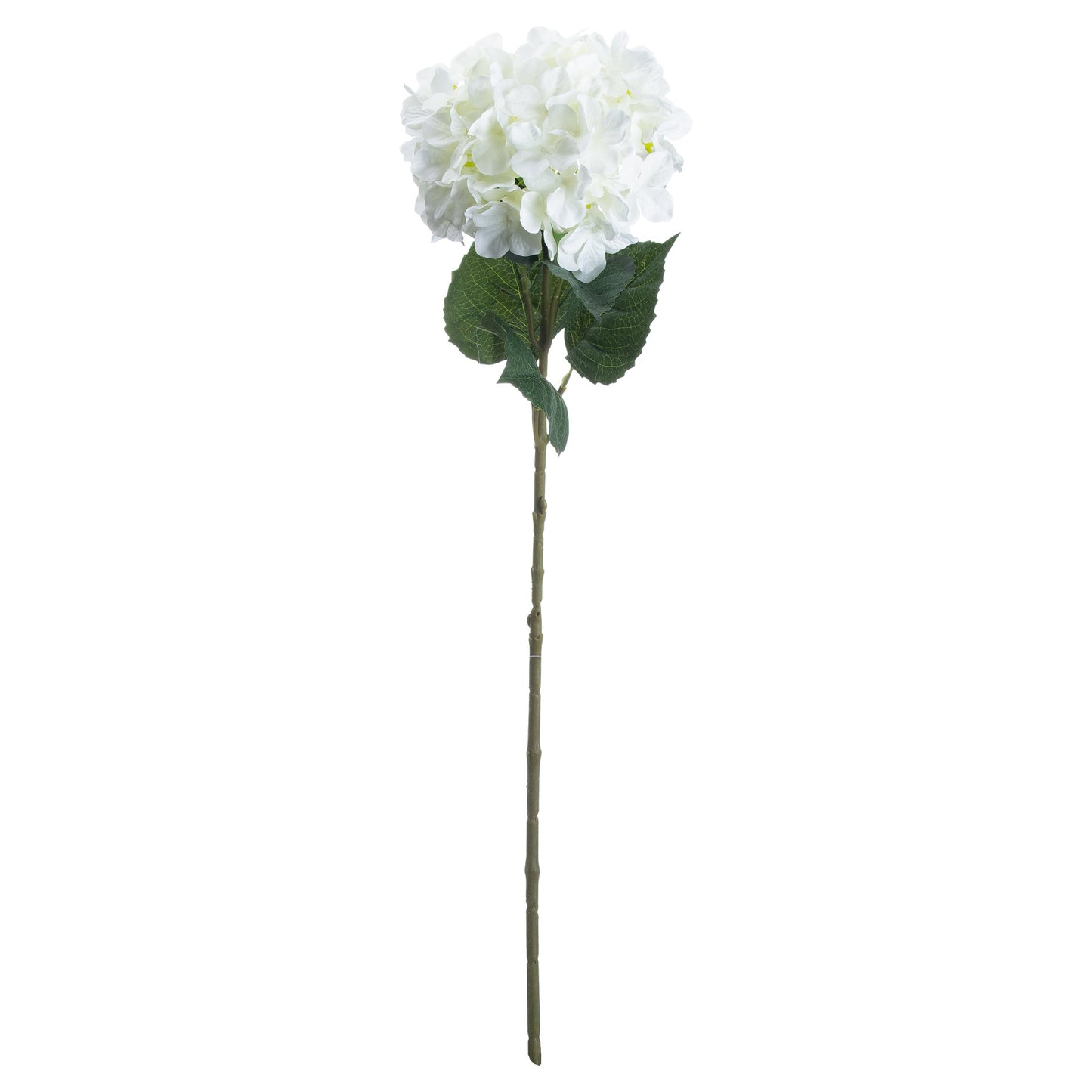 Single White Hydrangea 20488