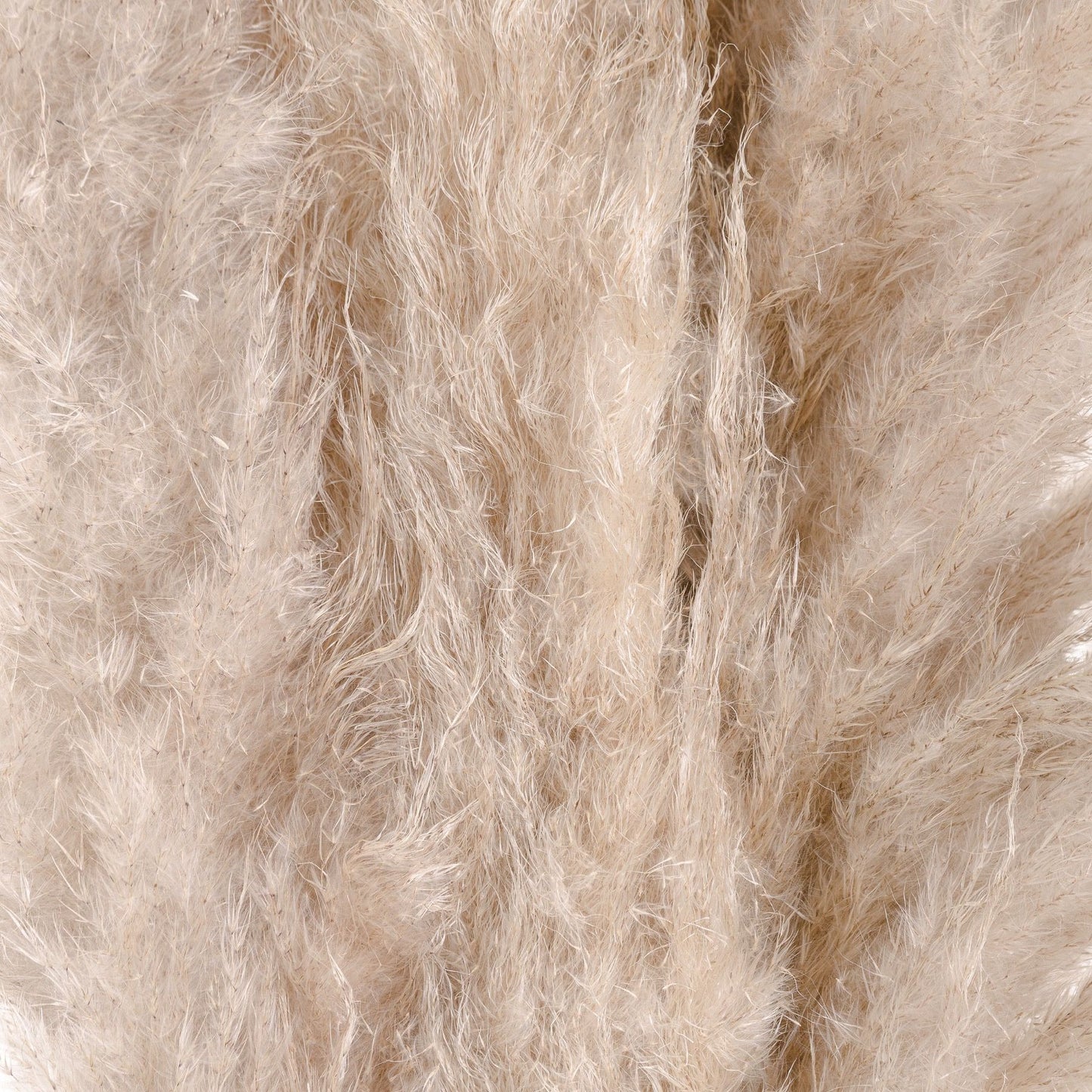 Cream Pampas Grass 20543