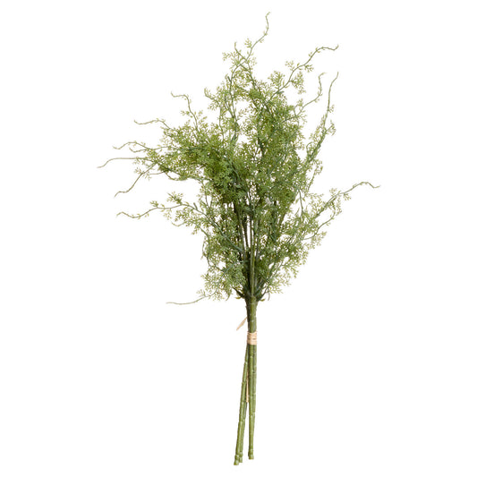 Asparagus Fern Bunch 20915