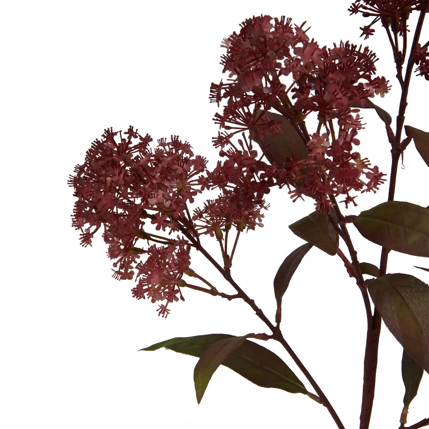 Medium Burgundy Smokebush Stem Burgundy Plastic 23259