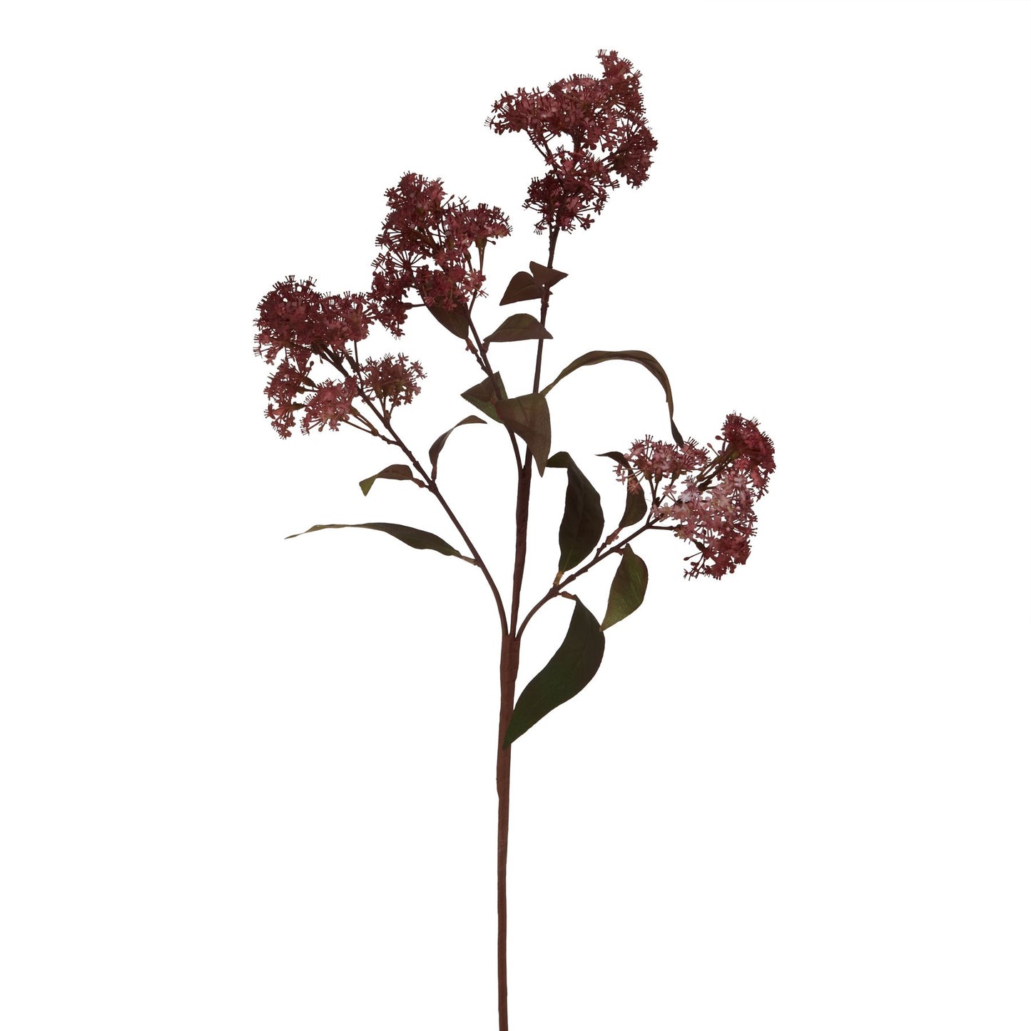 Medium Burgundy Smokebush Stem Burgundy Plastic 23259