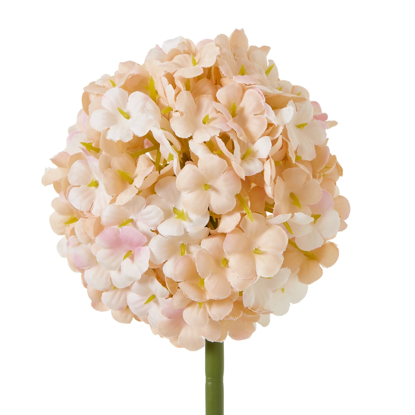 The Natural Garden Collection White & Apricot Allium White Plastic 23386