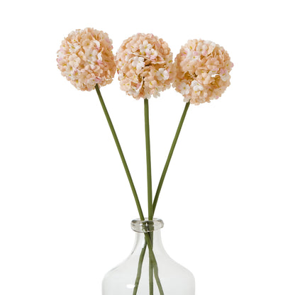 The Natural Garden Collection White & Apricot Allium White Plastic 23386