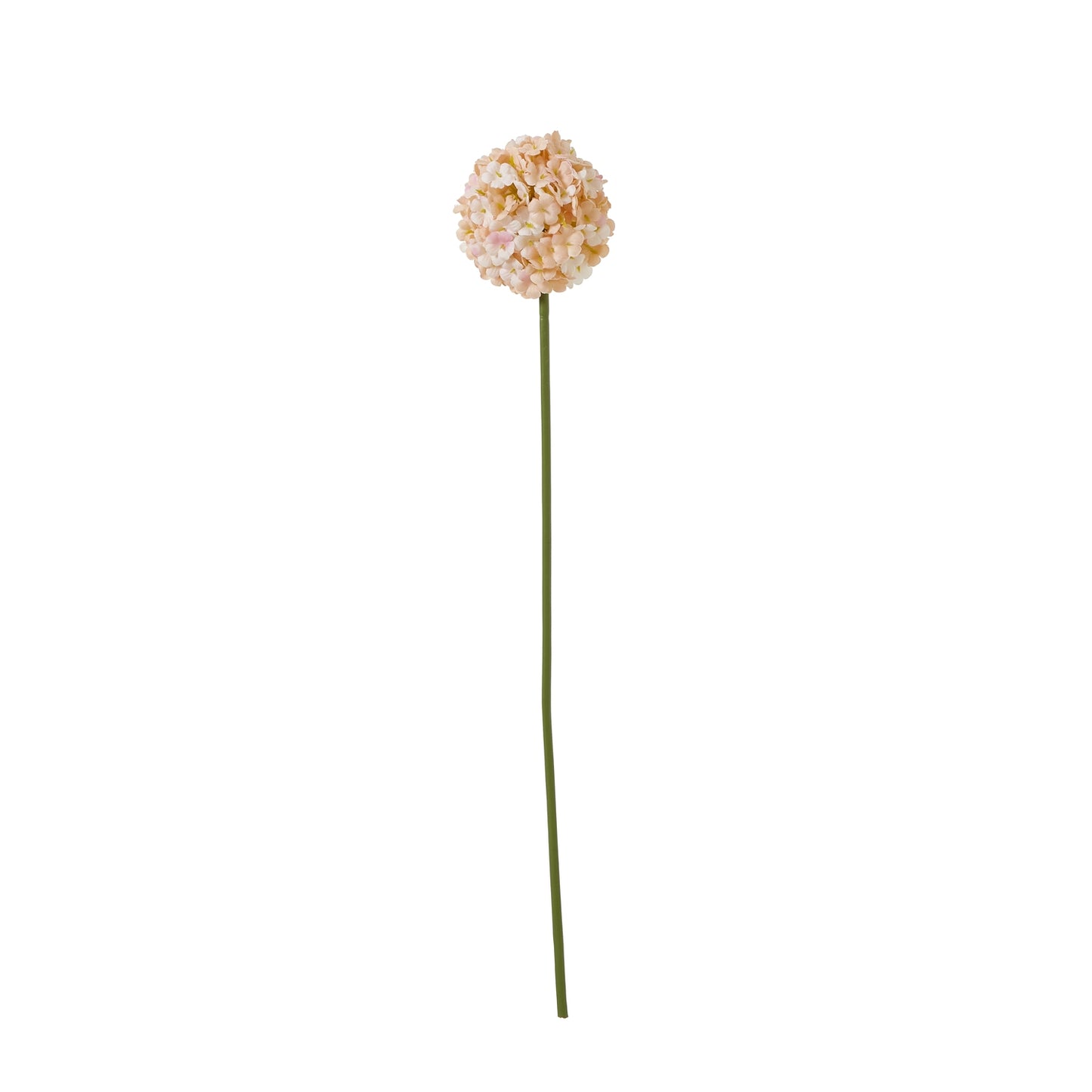 The Natural Garden Collection White & Apricot Allium White Plastic 23386