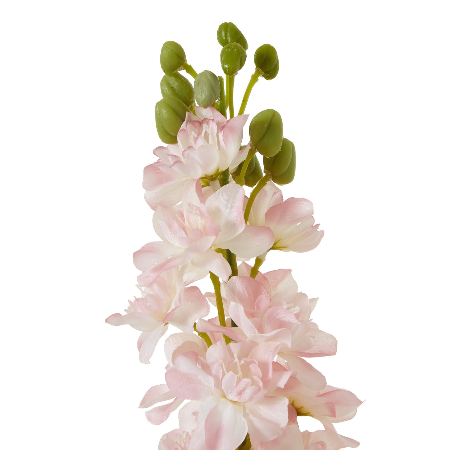 The Natural Garden Collection Pink Elatum Delphinium Pink Plastic 23389