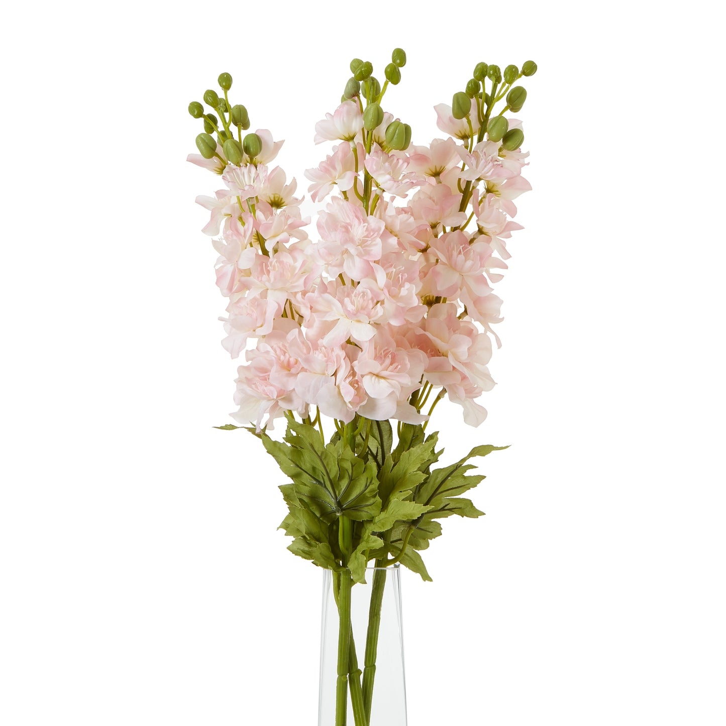 The Natural Garden Collection Pink Elatum Delphinium Pink Plastic 23389