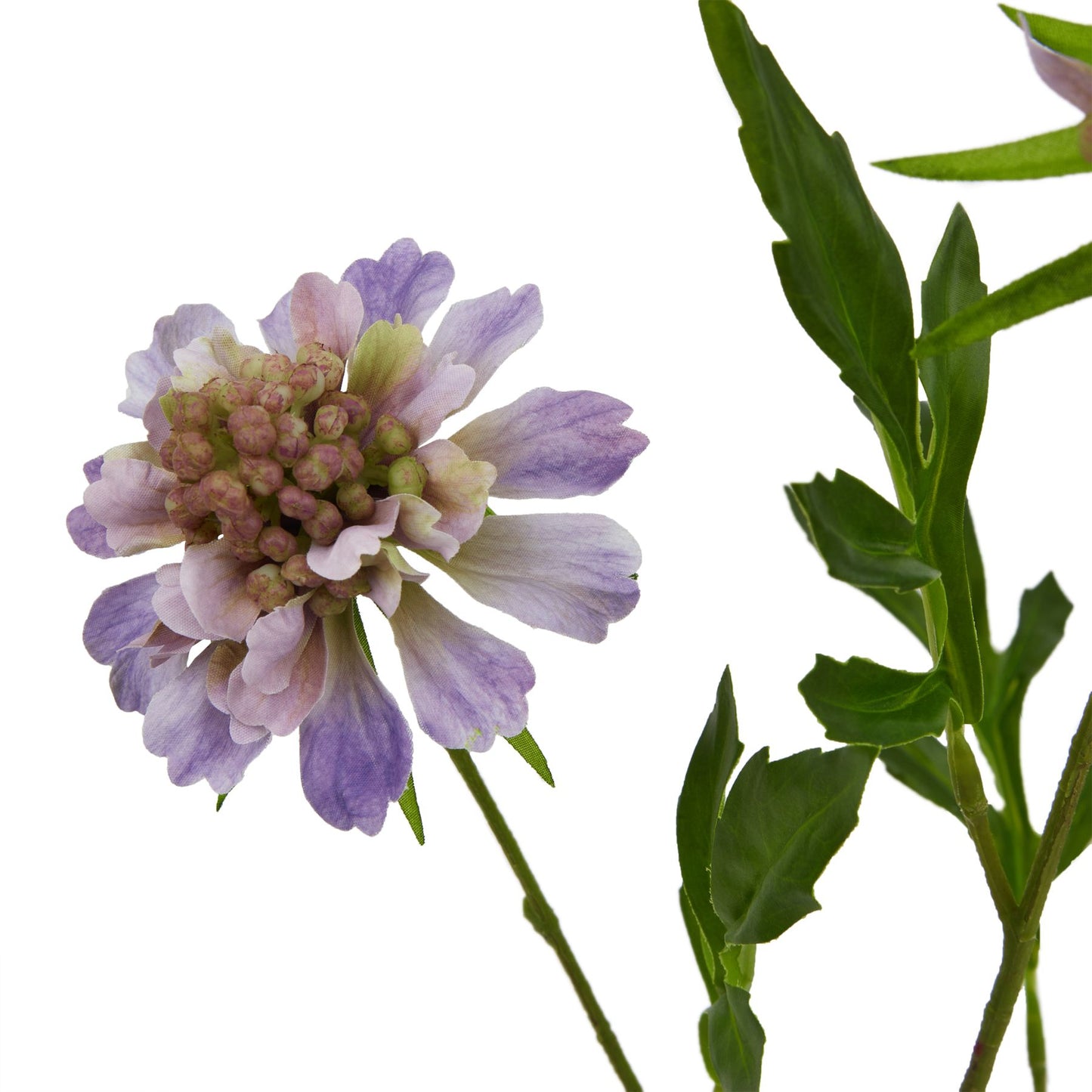 The Natural Garden Collection Purple Scabious Stem Purple Plastic 23414