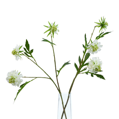 The Natural Garden Collection White Scabious Stem White Plastic 23415