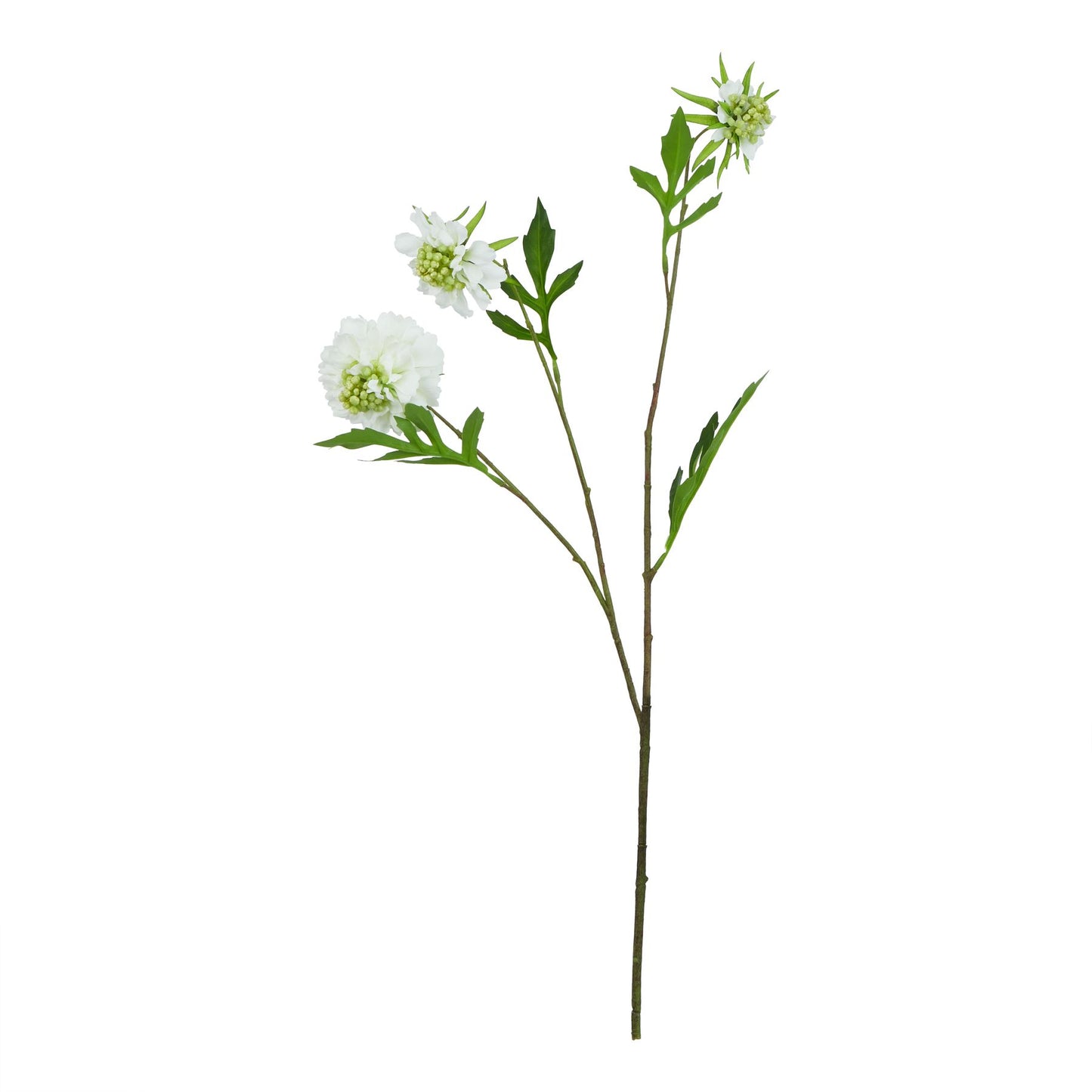 The Natural Garden Collection White Scabious Stem White Plastic 23415