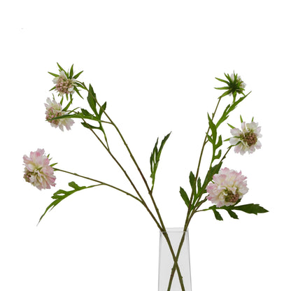 The Natural Garden Collection Pale Pink Scabious Stem Pink Plastic 23416