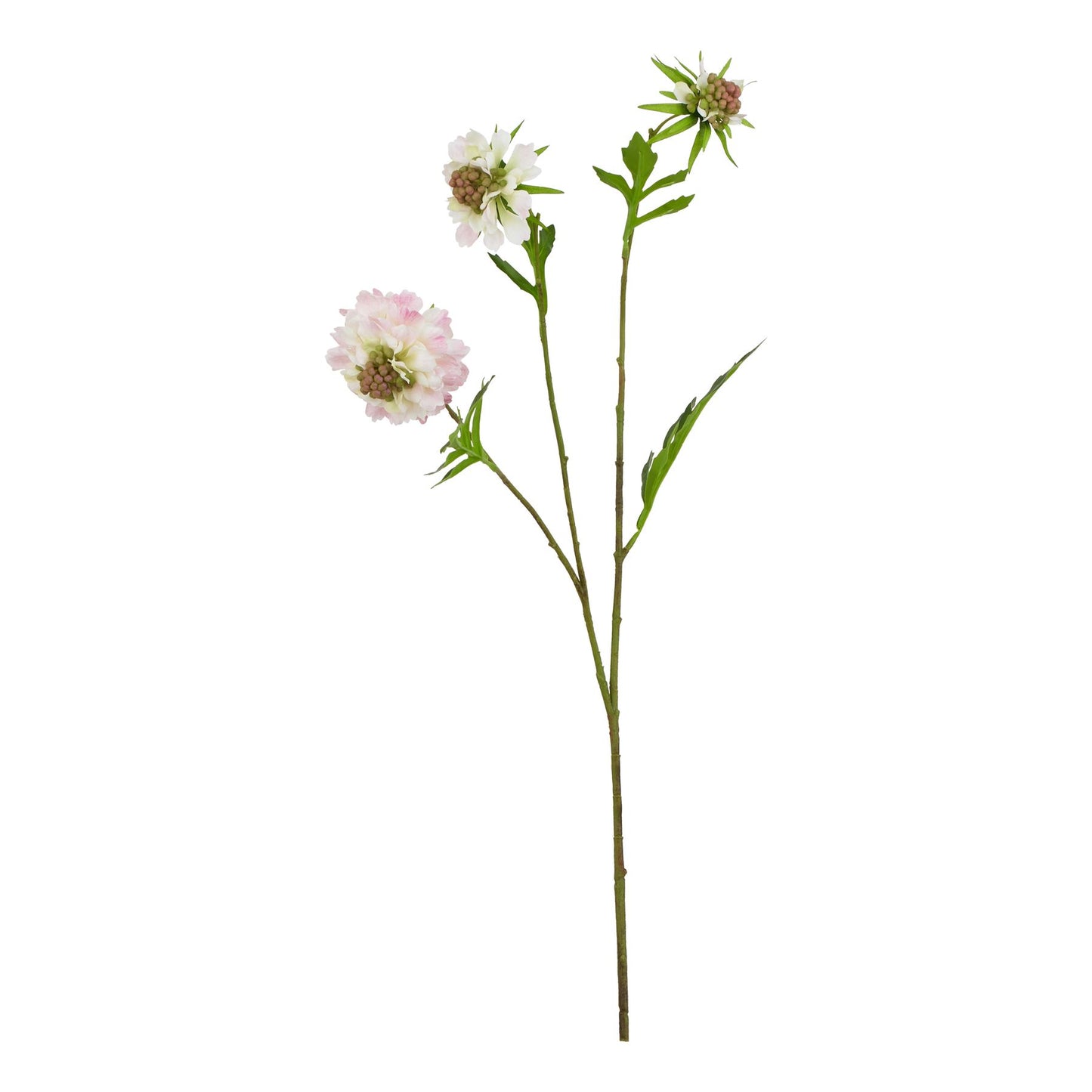 The Natural Garden Collection Pale Pink Scabious Stem Pink Plastic 23416